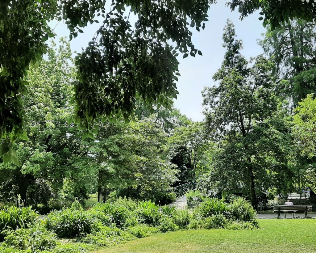View of the Arboretum in the Jardin Public