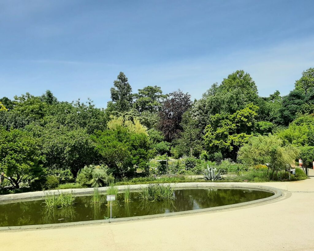 View of the lake in the Jardin Public