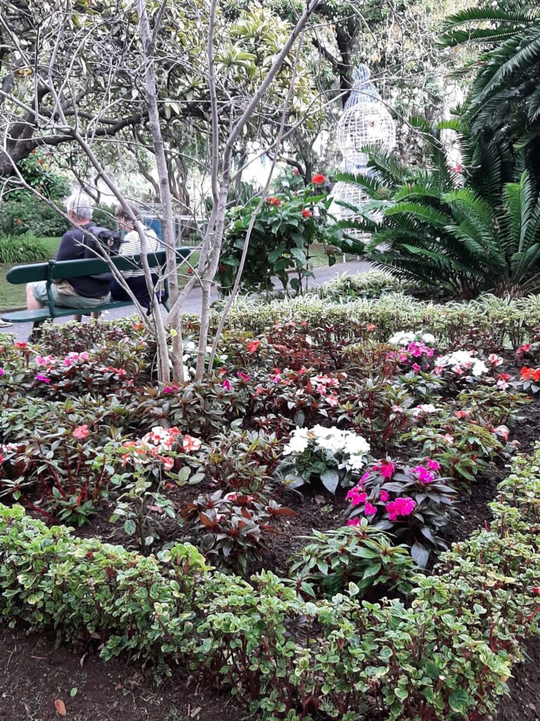 Public park in the centre of Funchal