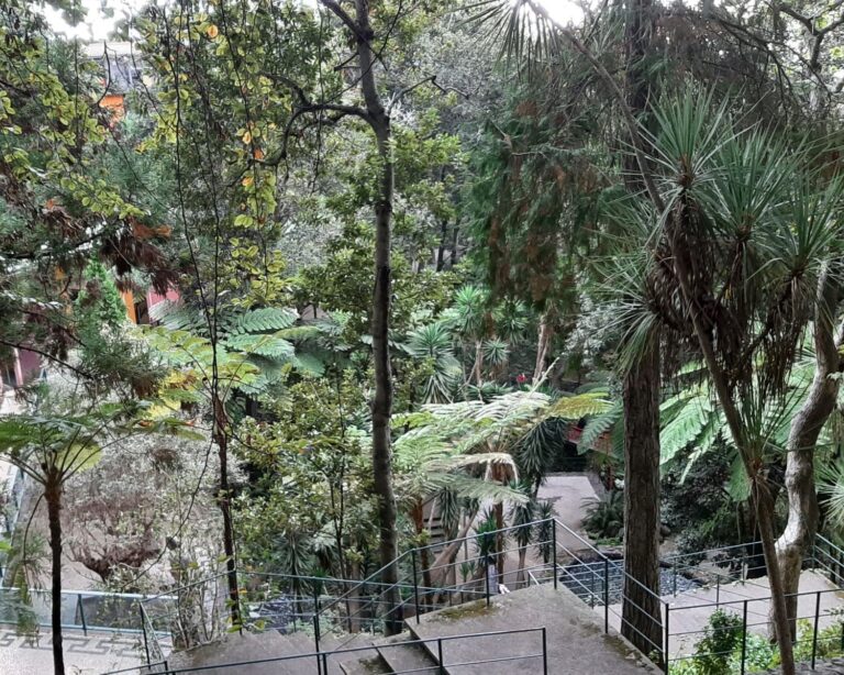 View over the tropical gardens