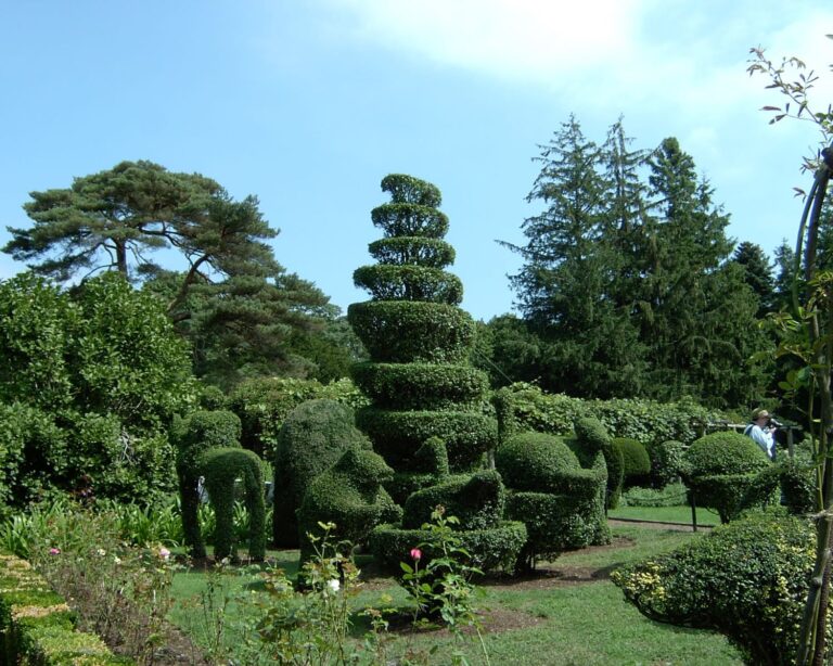 Topiary created over many years