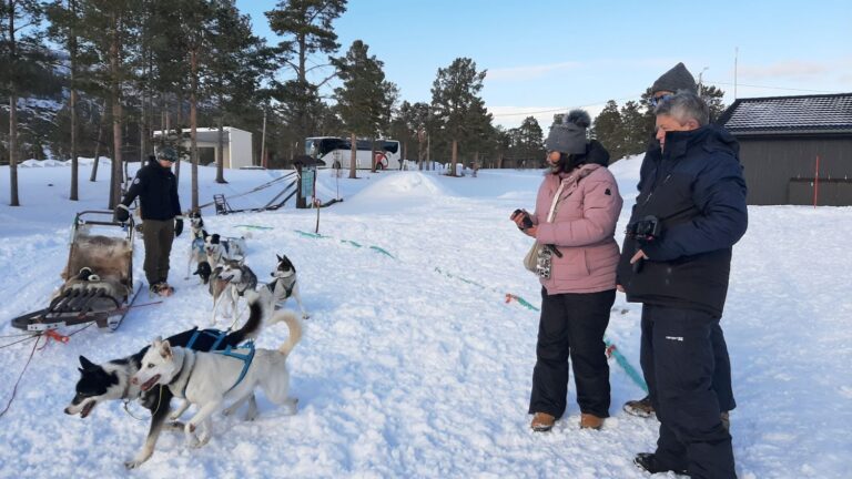 Our Friends find their Sled