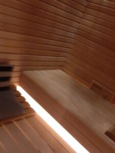 Regent Suite has its own Sauna and Steamroom