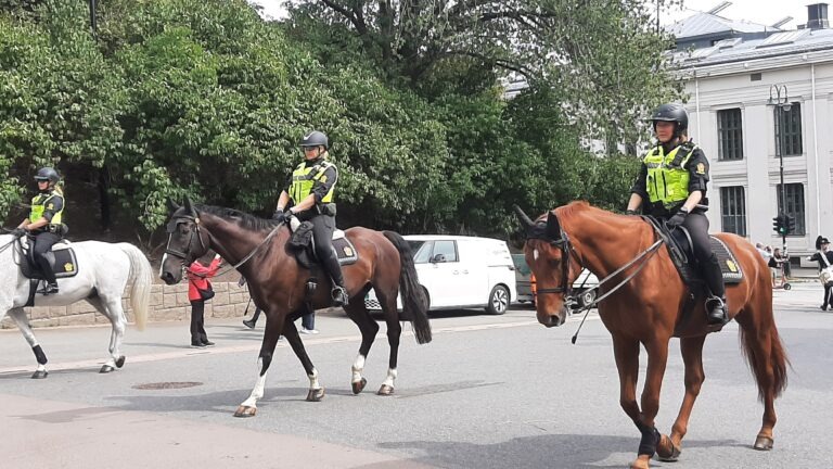 Mounted Officers head the procession