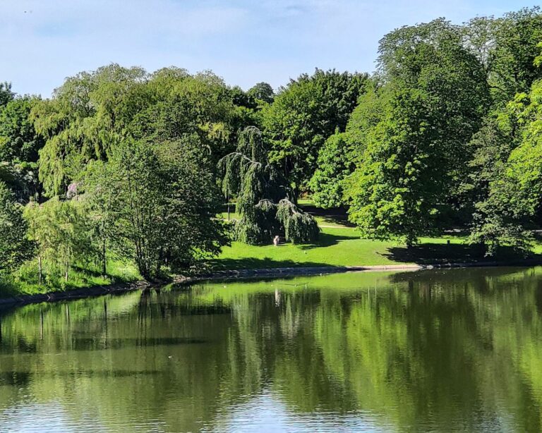 View over the Lake