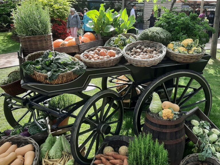 Food Festival Display