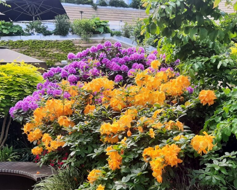 Beautiful Colours