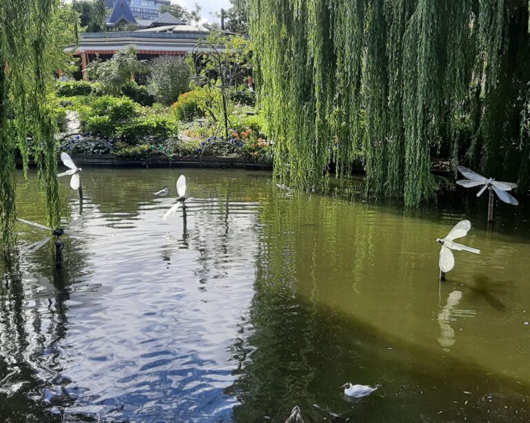 Water Gardens