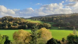 View from the Gardens