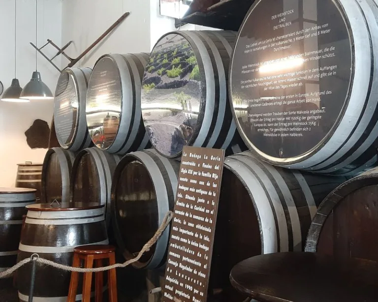 Barrells of Wine at the Bodega