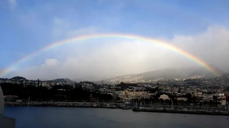 Th Full Beauty of Funchal