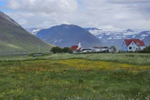 View of the farm and mountains in the distance