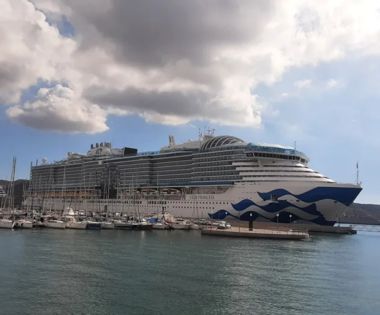 Star Princess starboard side