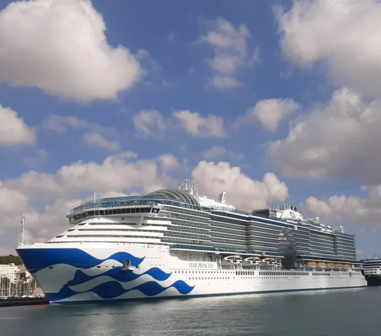 Star Princess port side