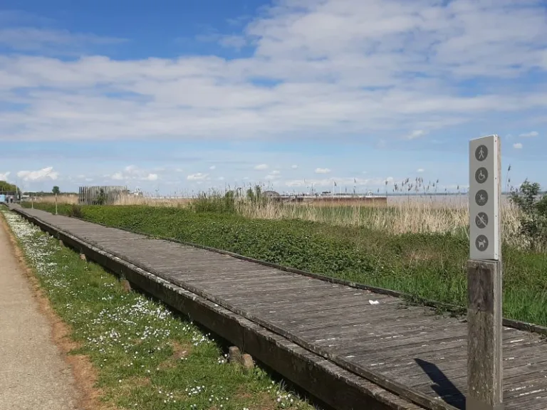 Part of the boardwalk