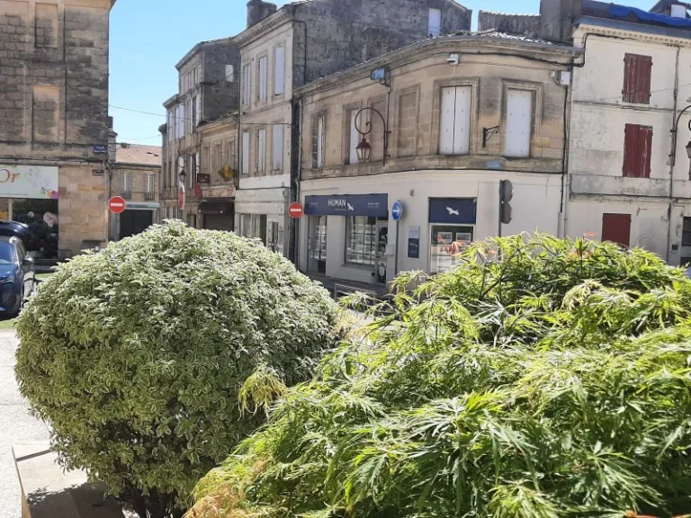 Centre of Pauillac
