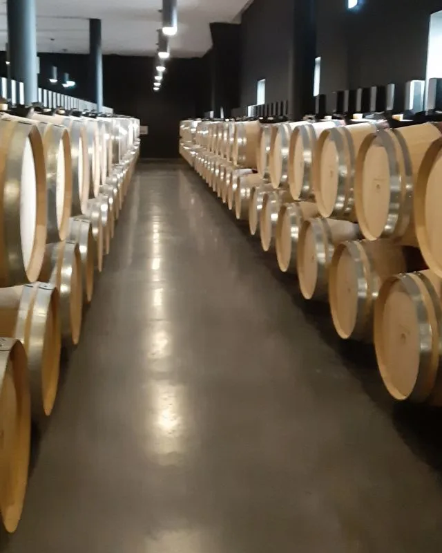 Barrells of Wine